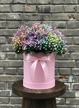 Цветочная композиция из Гипсофила и Розы в шляпной коробке в Ассиновской