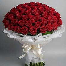 Букет 101 Красная роза Блэк Мэджик в Ассиновской