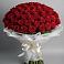 Букет 101 Красная роза Блэк Мэджик в Ассиновской