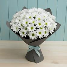 Букет цветов из:  Хризантемы в Ассиновской
