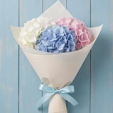 Букет цветов из:  Гортензия в Ассиновской