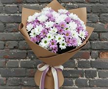 Букет цветов из:  Хризантемы в Ассиновской