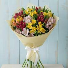 Букет цветов из:  Альстромерии #REPLACE_PRED# Ассиновской