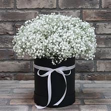 Цветочная композиция из Гипсофила в шляпной коробке в Ассиновской