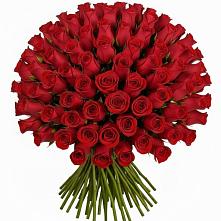 Букет Красные розы Чери Лав #REPLACE_PRED# Ассиновской