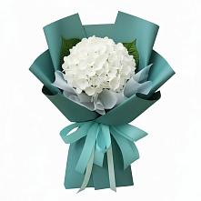 Букет цветов из:  Гортензия в Ассиновской
